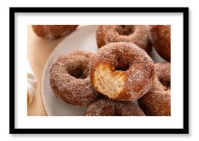 Apple cider or pumpkin spice donuts with a bite taken out