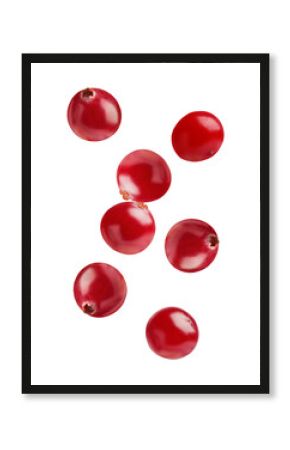 close-up photograph of seven ripe, glossy red cranberries captured in mid-air and isolated against a deep transparent background, showing fine detail.
