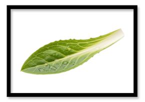Fresh green lettuce leaf isolated on transparent background for healthy nutrition
