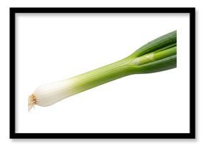 Fresh green onion isolated on transparent background for culinary and nutrition use