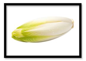 Fresh green endive leaf isolated on transparent background for healthy eating