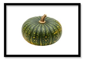 Ripe green and yellow acorn squash isolated on transparent background