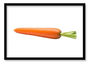 Fresh orange carrot isolated on transparent background with green stem