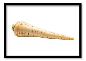 Fresh parsnip root isolated on transparent background for healthy cooking