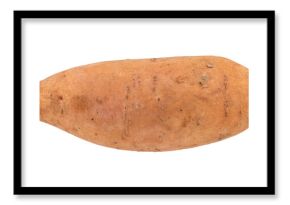 isolated whole raw sweet potato, fresh organic root vegetable for cooking, healthy natural food ingredient