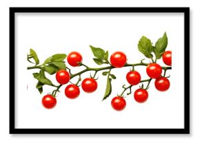 PNG Cherry tomato frame border plant fruit leaf.