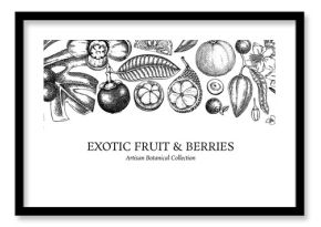 Exotic fruit background. Tropical plants hand drawn vector illustration. Healthy food banner design template. NOT AI generated
