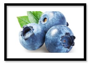 Ripe blueberries with green blueberry leaves isolated on white background. File contains clipping paths.