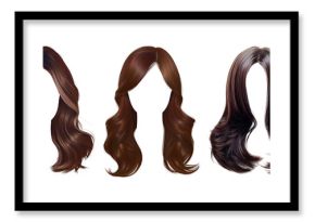 PNG Diverse stylish hair wigs, element set on transparent background