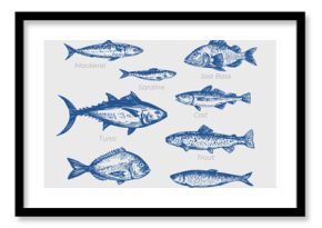 Dorado fish, seafood, vector sketch illustration, hand drawn