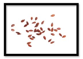Flaxseed flying, linseed isolated on white background, clipping path, macro
