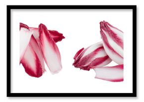 red chicory or radicchio leaves isolated on white background
