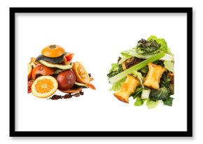 Four categories of food waste fruit, vegetable peels, green waste, and eggshells.