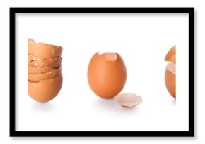 Set of egg shells on white background