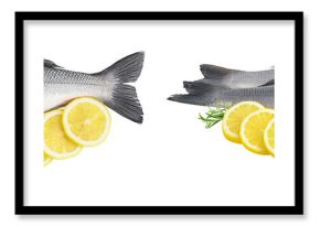 Sea bass fich isolated on white background with full depth of field. Top view. Flat lay