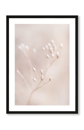 Dry flowers plant floral branch on soft beige pastel background. Blurred selective focus. Pattern with neutral natural colors.