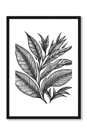 tea branch leaf sketch line art engraving generative ai vector illustration. Scratch board imitation. Black and white image.