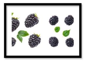 Blackberries with leaves isolated on white background.