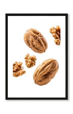 Several walnuts with hard shells are frozen in mid air, showcasing their texture and natural beauty