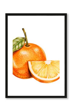 Vintage orange sticker png botanical illustration