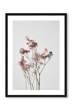 Dried wild flowers on white table background top view.