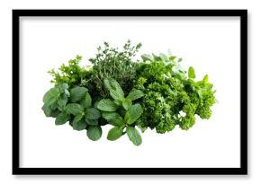 PNG A pile of fresh herbs parsley mint plants.