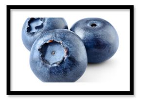 Blueberry isolated png. Blueberry on white or transparent background. Perfect retouched three blueberries no background. Png blueberry with transparent shadow. Full depth of field.