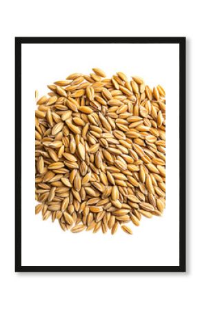 Pile of raw oat seeds, natural organic grain on transparent background