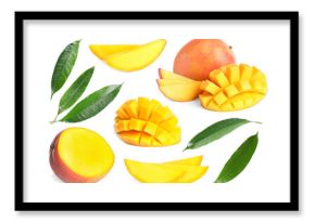 Sweet mango fruits and green leaves isolated on white, set