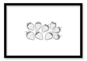 Hand-drawn strawberries sketch in black and white artistic design. Vector retro hand drawn illustration