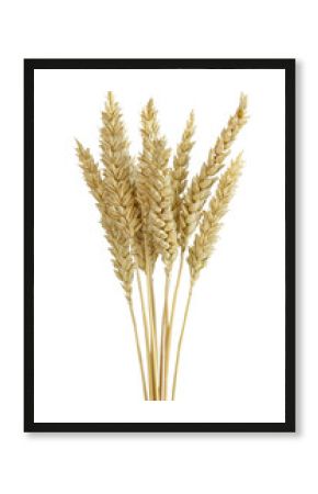 Epis de blé 