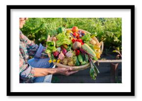 Basket with harvest of fresh vegetables herbs edible flowers in hands of female in garden