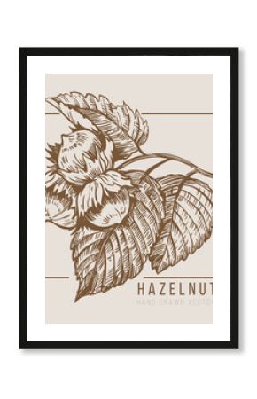 Hazelnut, monochrome vector illustration, hand drawn