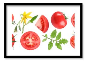 Fresh ripe tomatoes, blossoms and green leaves isolated on white, set
