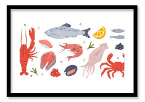 Fresh raw fish and seafood set. Shrimp, crab, squid, salmon and over fish products. Grocery market concept. Vector illustration.