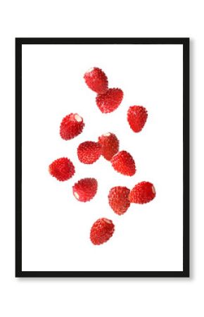 Fresh ripe wild strawberries falling against white background