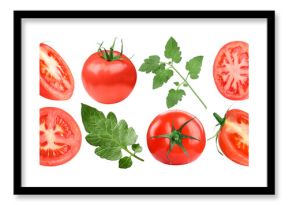 Fresh ripe tomatoes and green leaves isolated on white, set