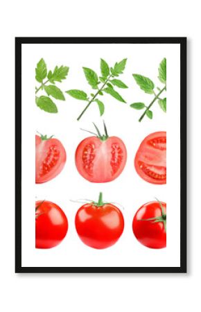 Fresh ripe tomatoes and green leaves isolated on white, set