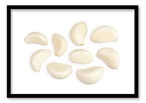 garlic cloves isolated on white background close up. Top view. Flat lay.