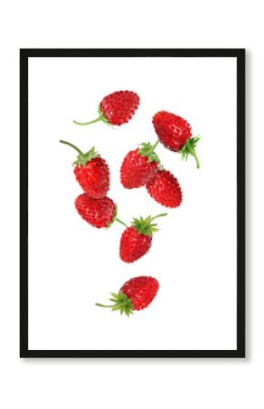 Fresh ripe wild strawberries falling against white background