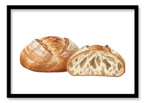 Watercolor Illustration of Artisan Rustic Bread Loaf with Cross Section