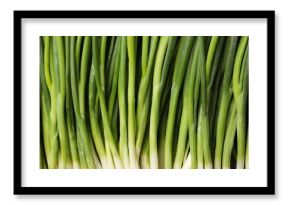 Fresh green spring onions as background, top view