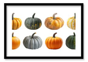Colorful pumpkins in diverse varieties.