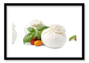 Delicious burrata cheese with tomatoes and basil isolated on white, set