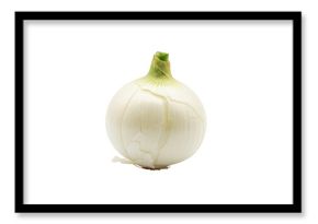 Fresh white onion isolated on transparent background for culinary and nutrition use