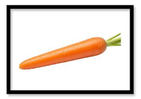 Fresh organic carrot isolated on transparent background for healthy nutrition