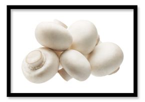 Heap of white champignon mushrooms isolated