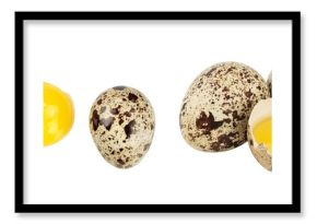 Raw quail egg isolated on white background with full depth of field. Top view. Flat lay