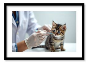 Vet gives injection to kitten in clinic. Doctor vaccinates tabby kitten. Pet receives vaccine. Veterinary pro in uniform holds syringe. Concept of pet health, animal care and disease prevention.