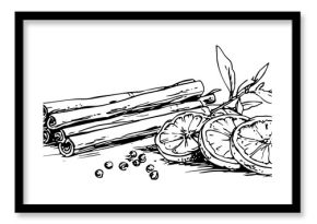Dried orange slices and cinnamon sticks spices hand drawn vector sketch illustration of winter mulled wine ingredients